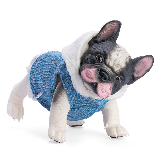 Nono El Bulldog Chaqueton Lana Azul Capucha Beige