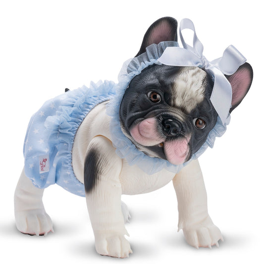 Lily La Bulldog Braguita Azul Tul Celeste
