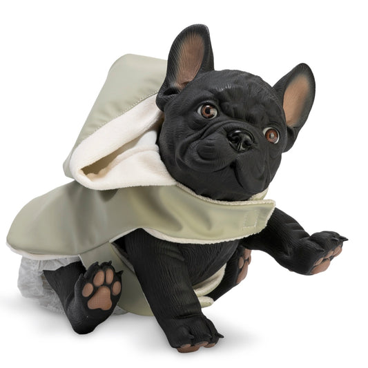 Nono el Bulldog con Chubasquero Verde